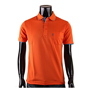 Polo Sports Wear