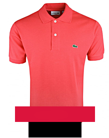 Polo T Shirts